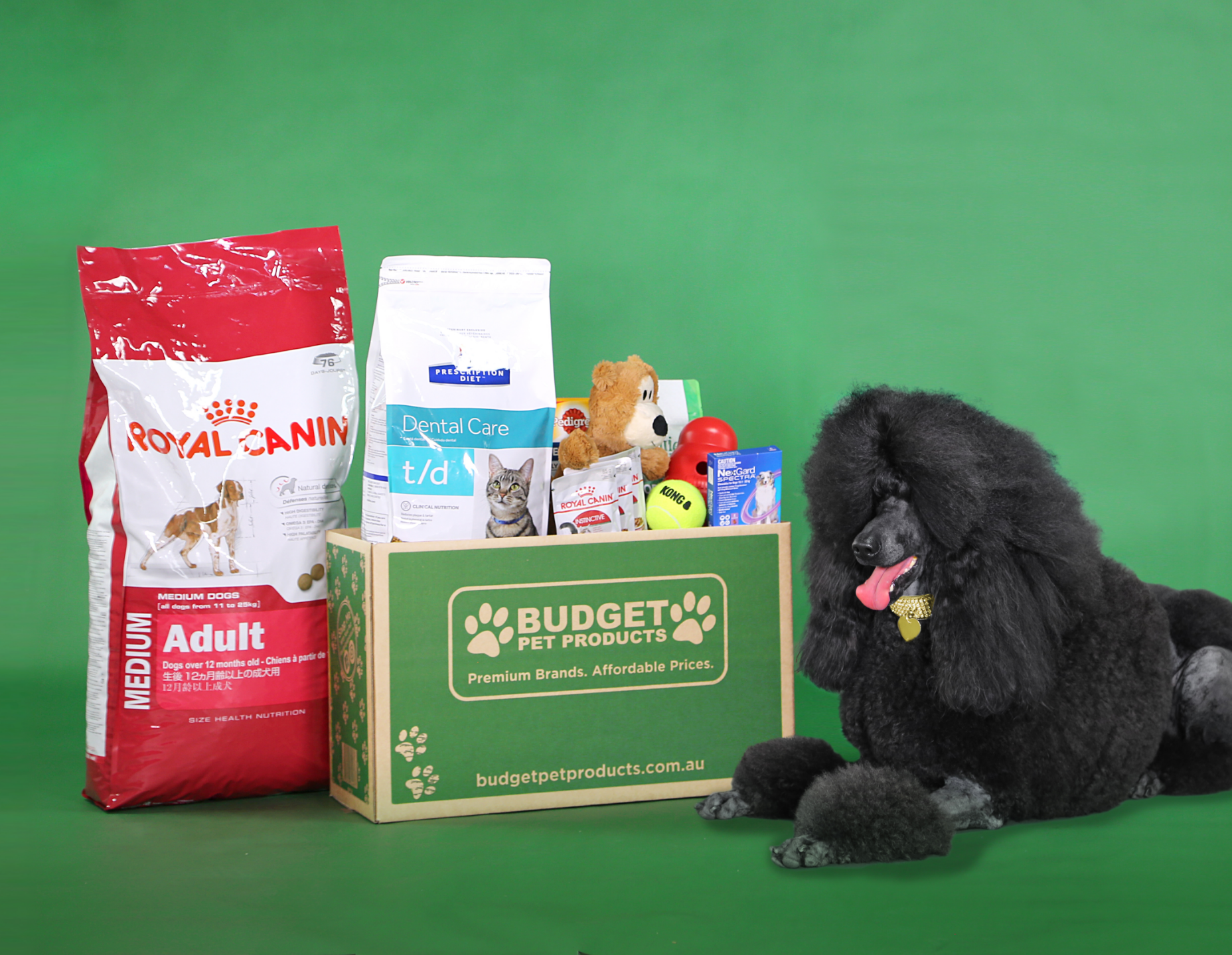 Budget pet 2025 products online